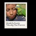 /album/tipo-polaroid/flag13-png/