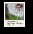 /album/tipo-polaroid/flag17-png/