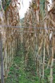 /album/agroturismo/a007-jpg1/