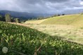/album/agroturismo/a009-jpg1/