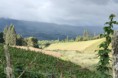 /album/agroturismo/a010-jpg2/