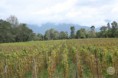 /album/agroturismo/a012-jpg1/